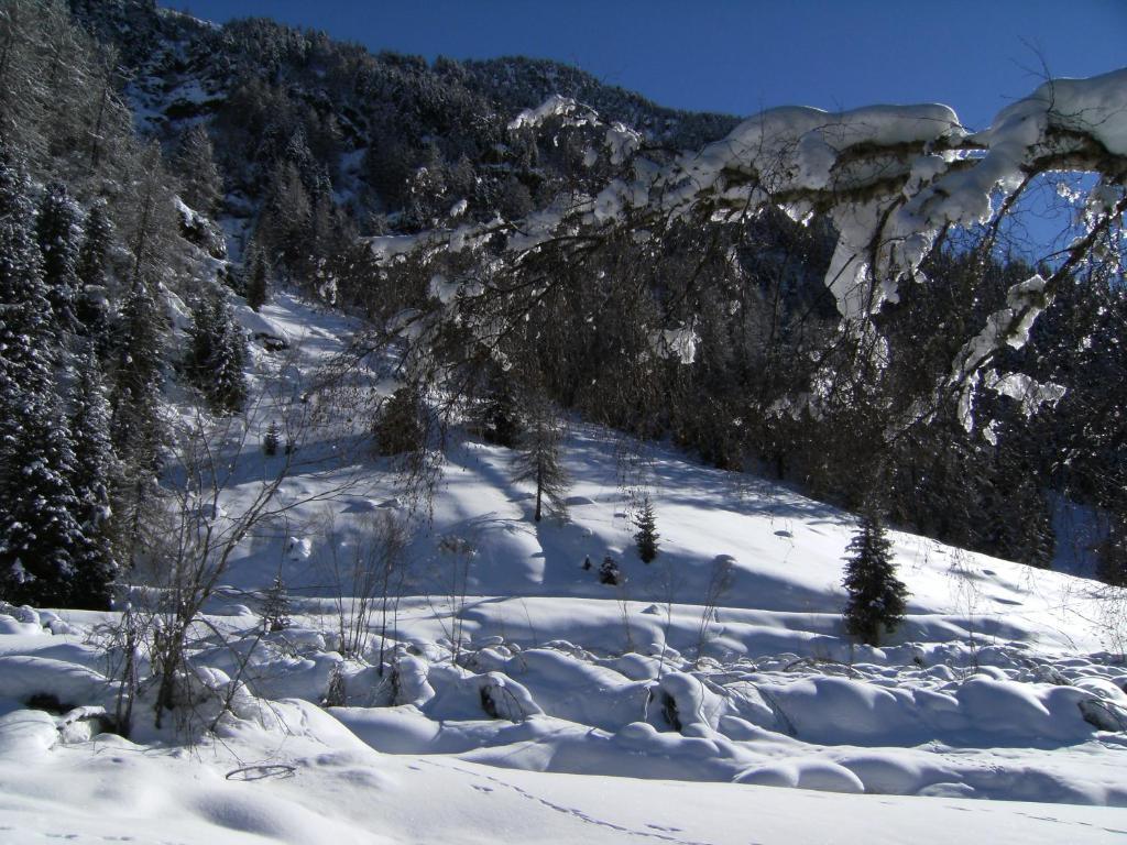 Albergo Thurwieser Santa Caterina Valfurva Exteriér fotografie